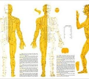 TFH Meridian Chart