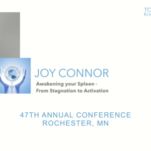 Awakening your Spleen - from Stagnation to Activation with Joy Connor